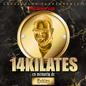 Los 14 Kilates (Explicit)