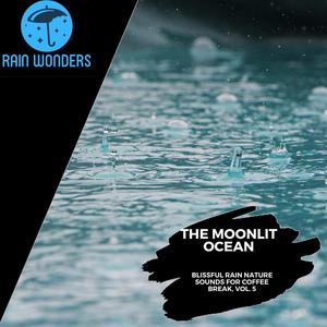 The Moonlit Ocean - Blissful Rain Nature Sounds for Coffee Break, Vol. 5