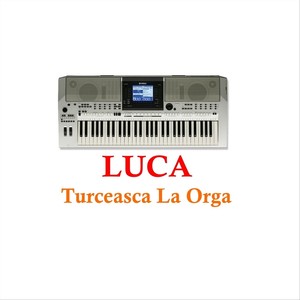 Turceasca La Orga