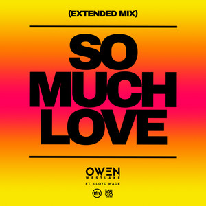 So Much Love (feat. Lloyd Wade) (Extended Mix)