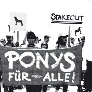 Ponys Für Alle