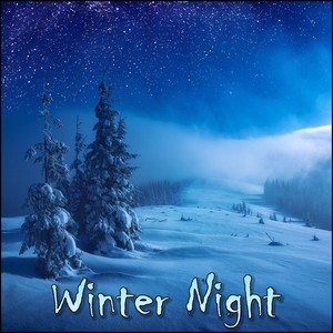 Winter Night