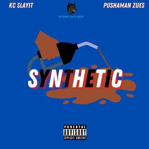 Synthetic (feat. Pushaman Zues) (Explicit)