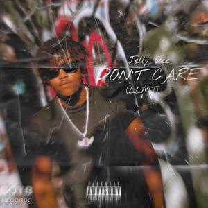 Don't Care(LLMJ) (Explicit)