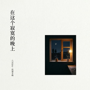 在这个寂寞的晚上