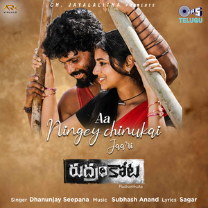 Aa Ningey Chinukai Jaari (From "Rudramkota")