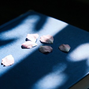 心似烟火-ProdbyMend&曾培宇Jackie