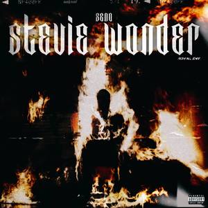 STEVIE WONDER (Explicit)