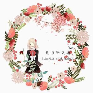 Sunrise and Robin//光与知更鸟