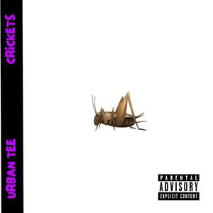 Crickets (Explicit)