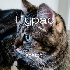 Lilypad