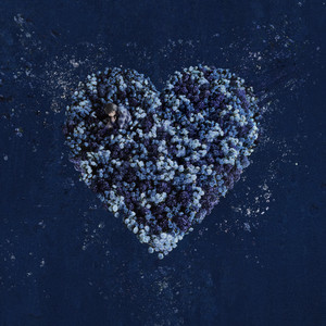 사랑이 죄야? (Love Dilemma)