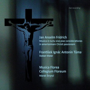 Musica in luctu sive piae considerationes in amarissimam Christi passionem - Introduction. Grave et tardissime (Live Recording)