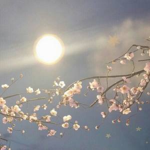 思美人兮 (COVER版)