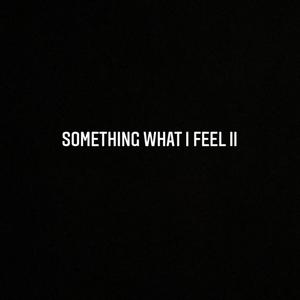 Something what I feel II