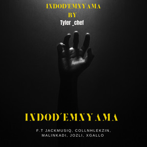 Indod'emnyama