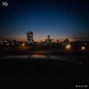 W.A.I.T.D
