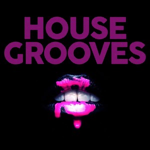 House Grooves