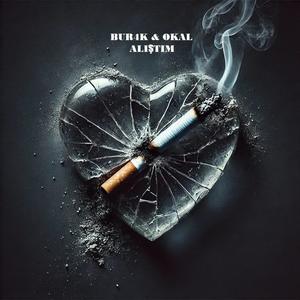 alıştım (feat. OKAL) (Explicit)