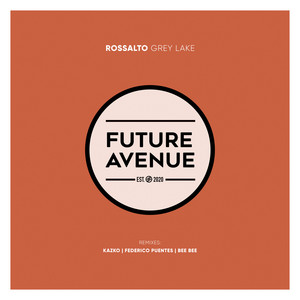 Grey Lake (Federico Puentes Remix)