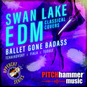 Swan Lake EDM Classical Cover