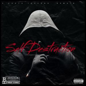 Self Destruction (Explicit)