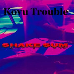 Shake Sum (Explicit)