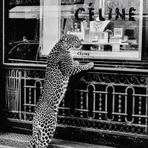Celine Cheetah (feat. Dotstarr) (Explicit)