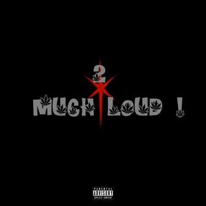 2 Much Loud! (Explicit)