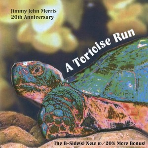 A Tortoise Run (20th Anniversary the B-Side(S) Now W/20% More Bonus!)