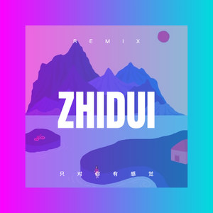 回到山沟沟 (Remix)