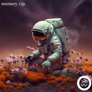 Memory (VIP)