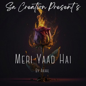 Meri Yaad Hai