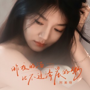 昨夜的酒比不过清晨的粥 (DJ九零版)封面