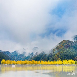 푸른 언덕에서 (在绿色山坡上)