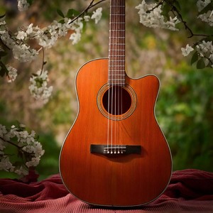 Mindful Strings: Guitar Music for Meditation