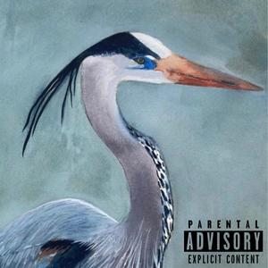 Blue Heron (Explicit)