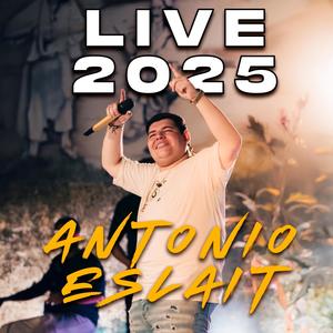 Usted es la hembra (Live)