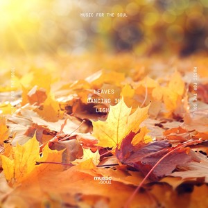 Soft Spirals in the Autumn Wind