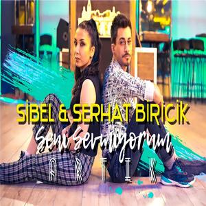 Seni Sevmiyorum Artık (feat. Sibel Biricik & Serhat Biricik)