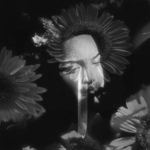 Gloomy Sunday In The South