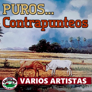 Los merecures