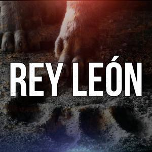 Rey león