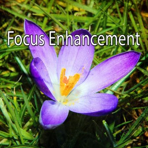 Focus Enhancement