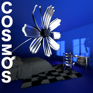 cosmos