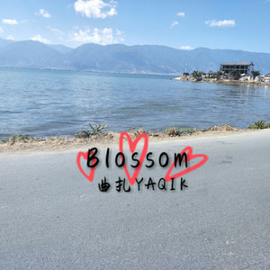 Blossom