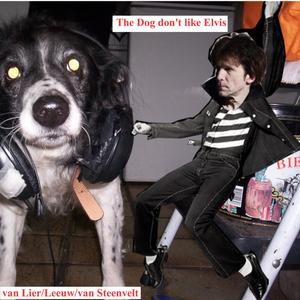 The Dog Don't Like Elvis