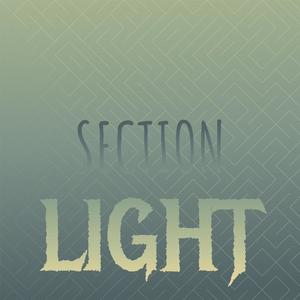 Section Light