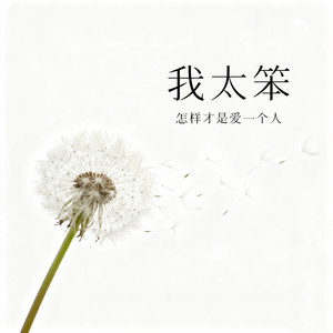 我太笨 (怎样才是爱一个人)