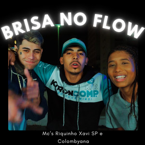 Brisa no Flow (Explicit)